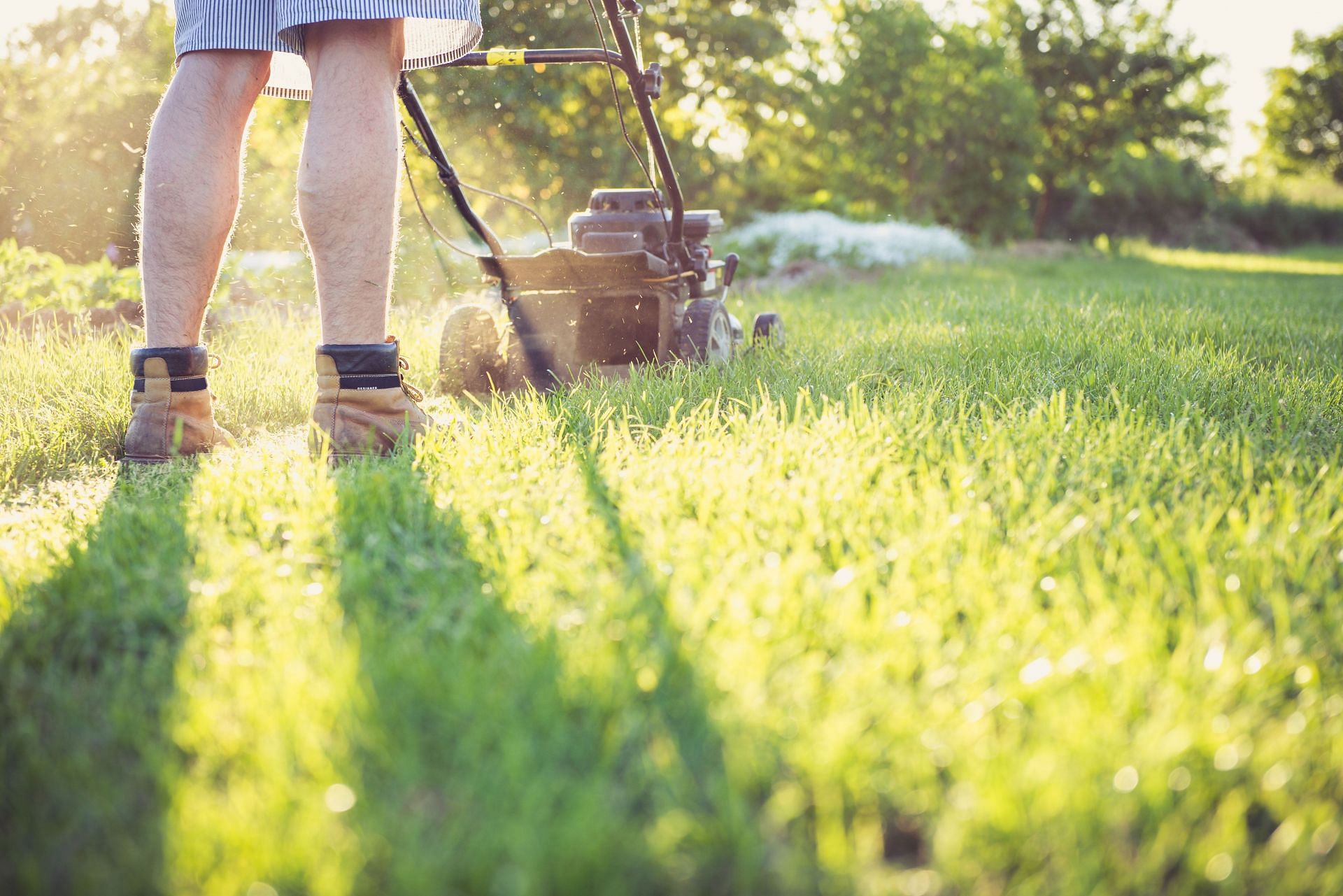Mowing your lawn is a good outdoor activity to burn some calories (Pic from Pexels @Magic K)