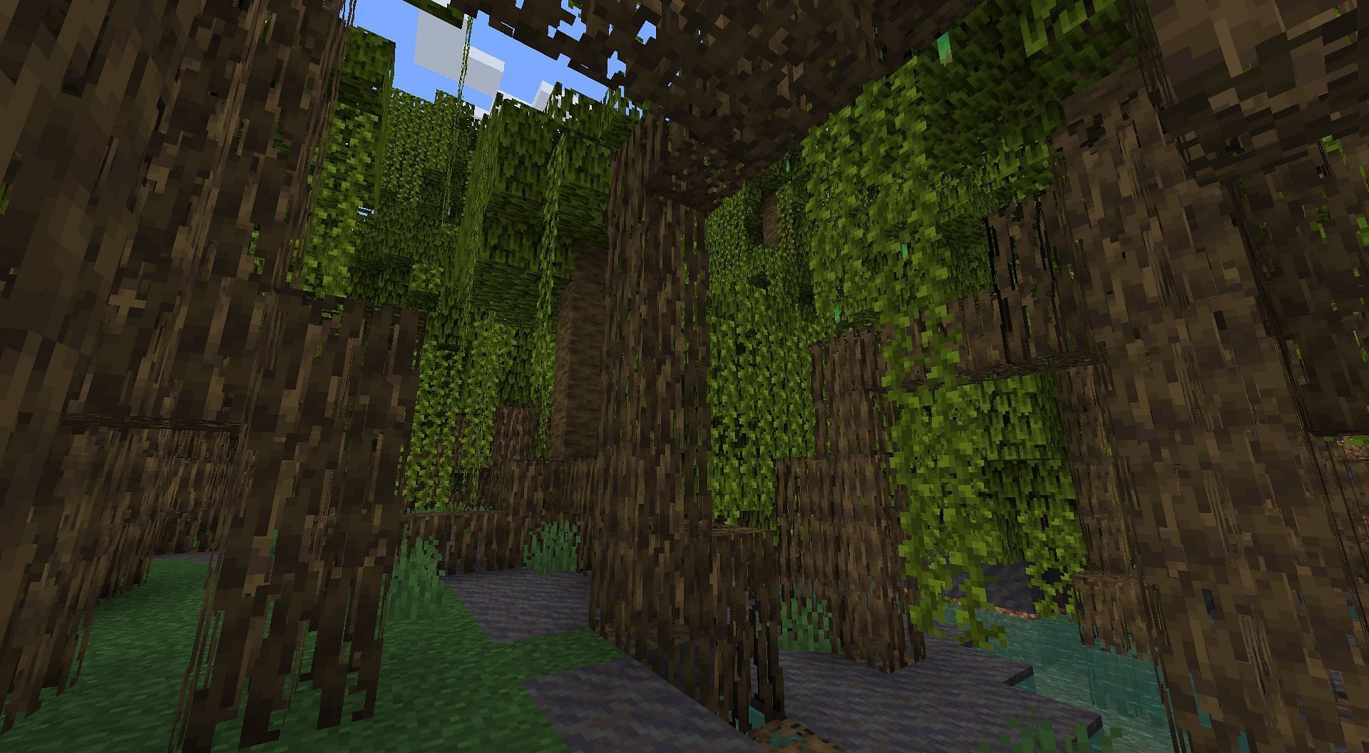 Mangrove Swamp (Image via Minecraft 1.19)