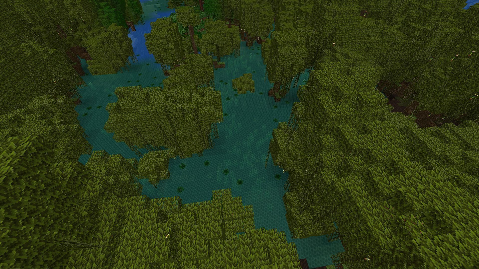 A mangrove swamp, something that any server before 1.19 will not have (Image via Minecraft)