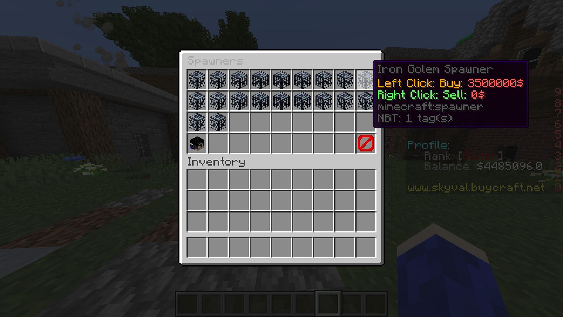 A shop interface formed in the plugin (Image via gypopo2)