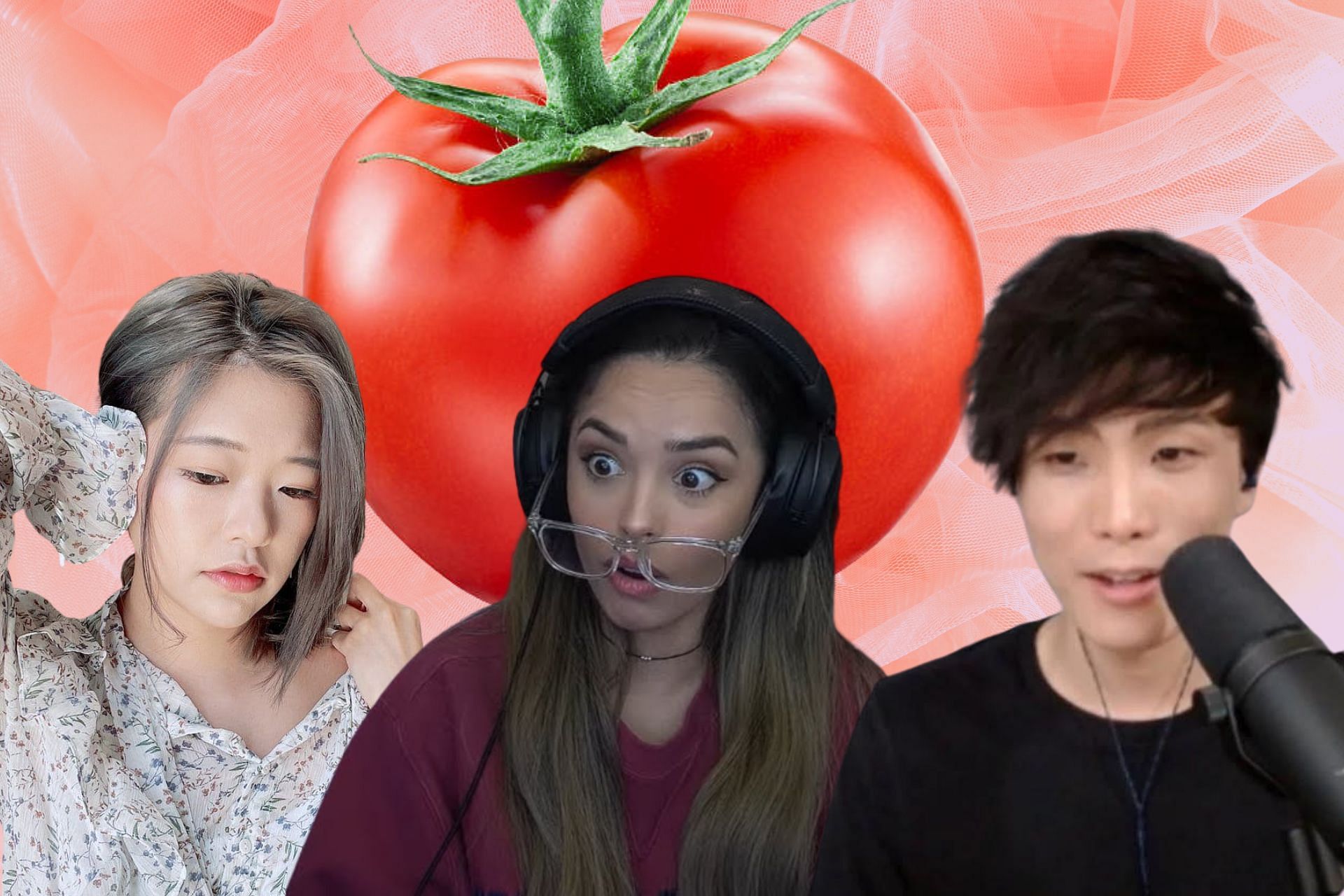 kkatamina recently ate a raw tomato on stream (Image via Sportskeeda)