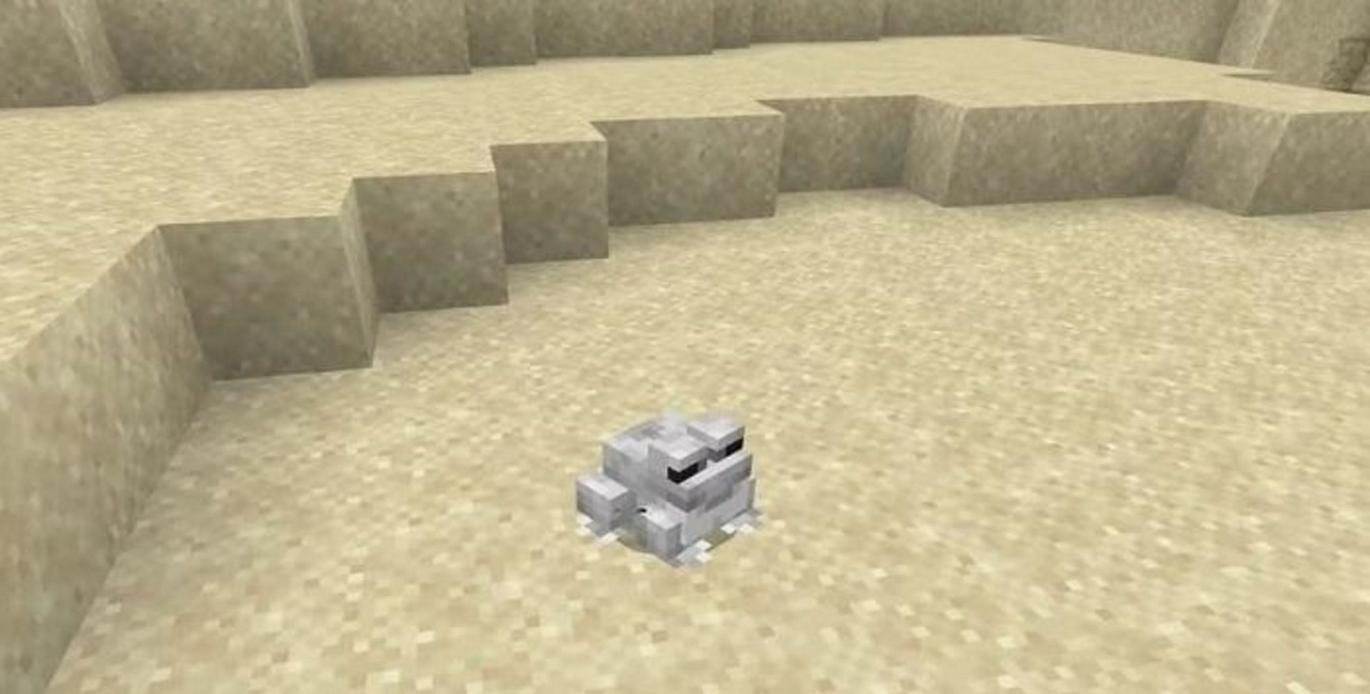 White frogs feel at home in the heat (Image via For-Minecraft.com)
