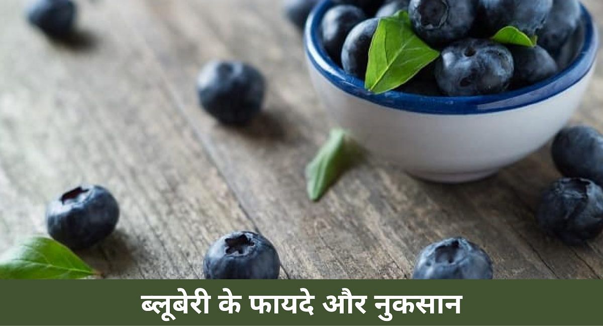 Blueberry deals in hindi