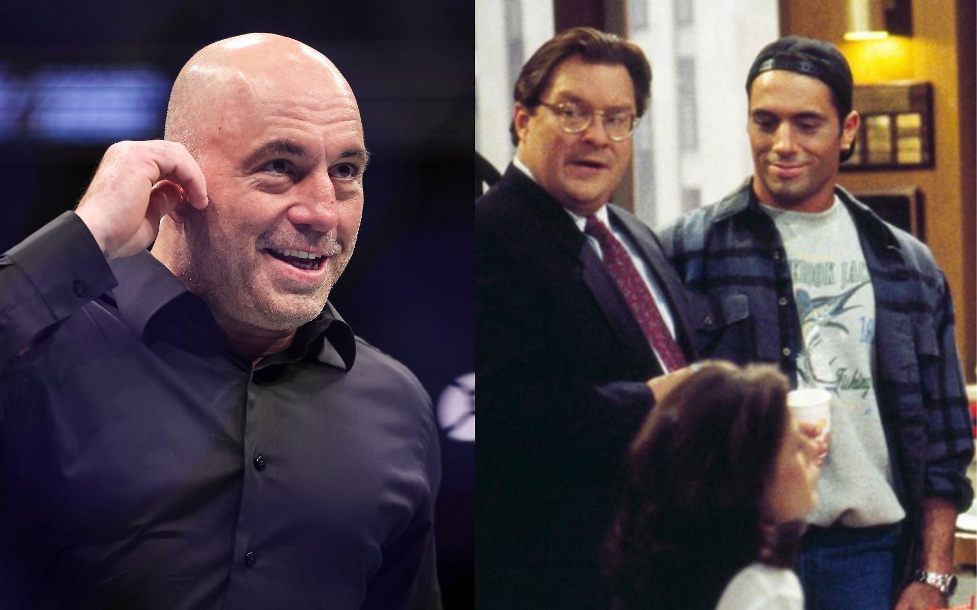 Joe Rogan's TV career Which shows did he appear on?