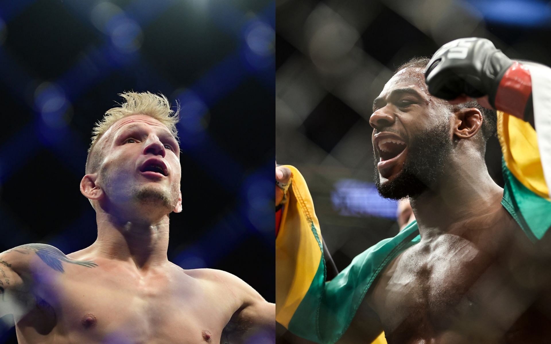 T.J. Dillashaw (left) and Aljamain Sterling (right)