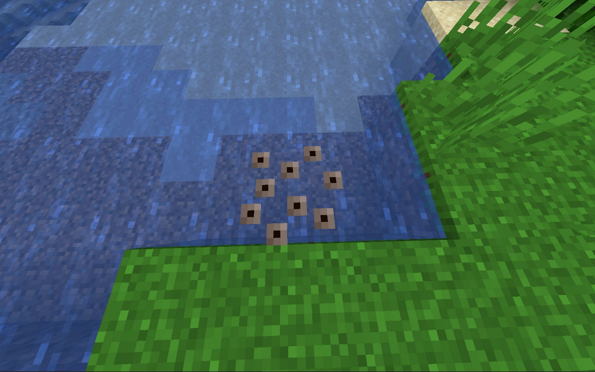 How Long Does It Take For Frog Eggs To Hatch In Minecraft 119 Update 