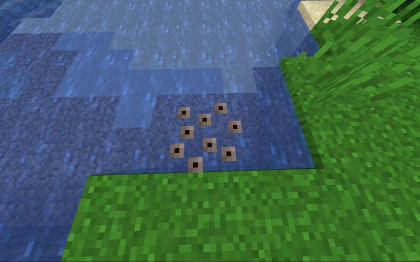 How long does it take for frog eggs to hatch in Minecraft 1.19 update?