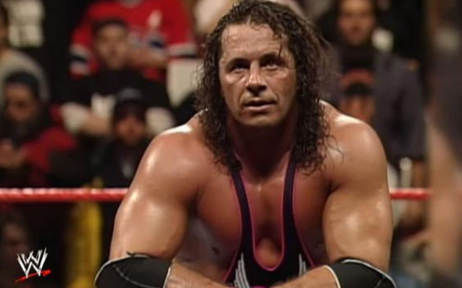Bret Hart won the Royal Rumble with Lex Luger