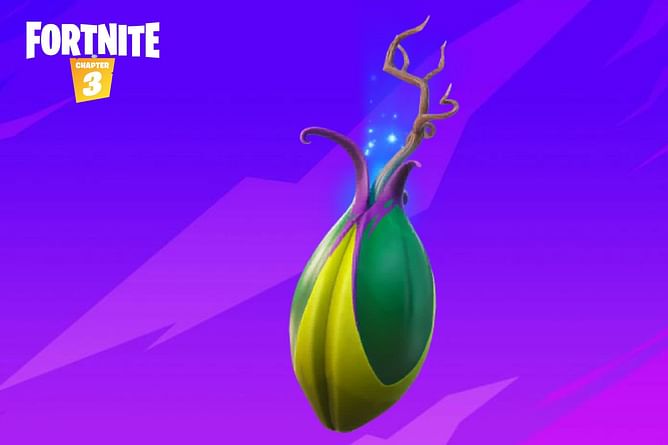 How to get the Bushy Bulb Back Bling for free in Fortnite