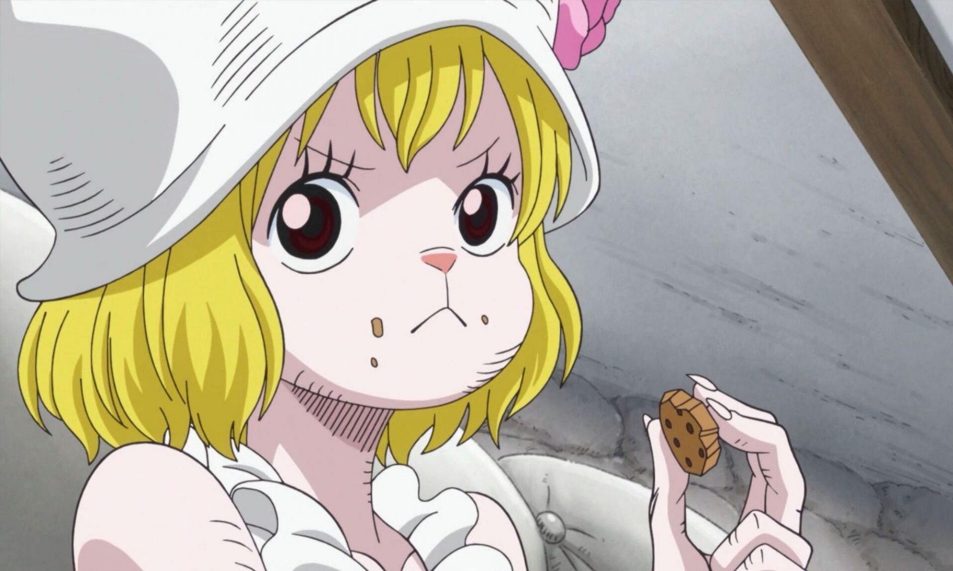 Carrot has always been a popular character in the One Piece series (Image via Eiichiro Oda/Shueisha/Viz Media/One Piece)