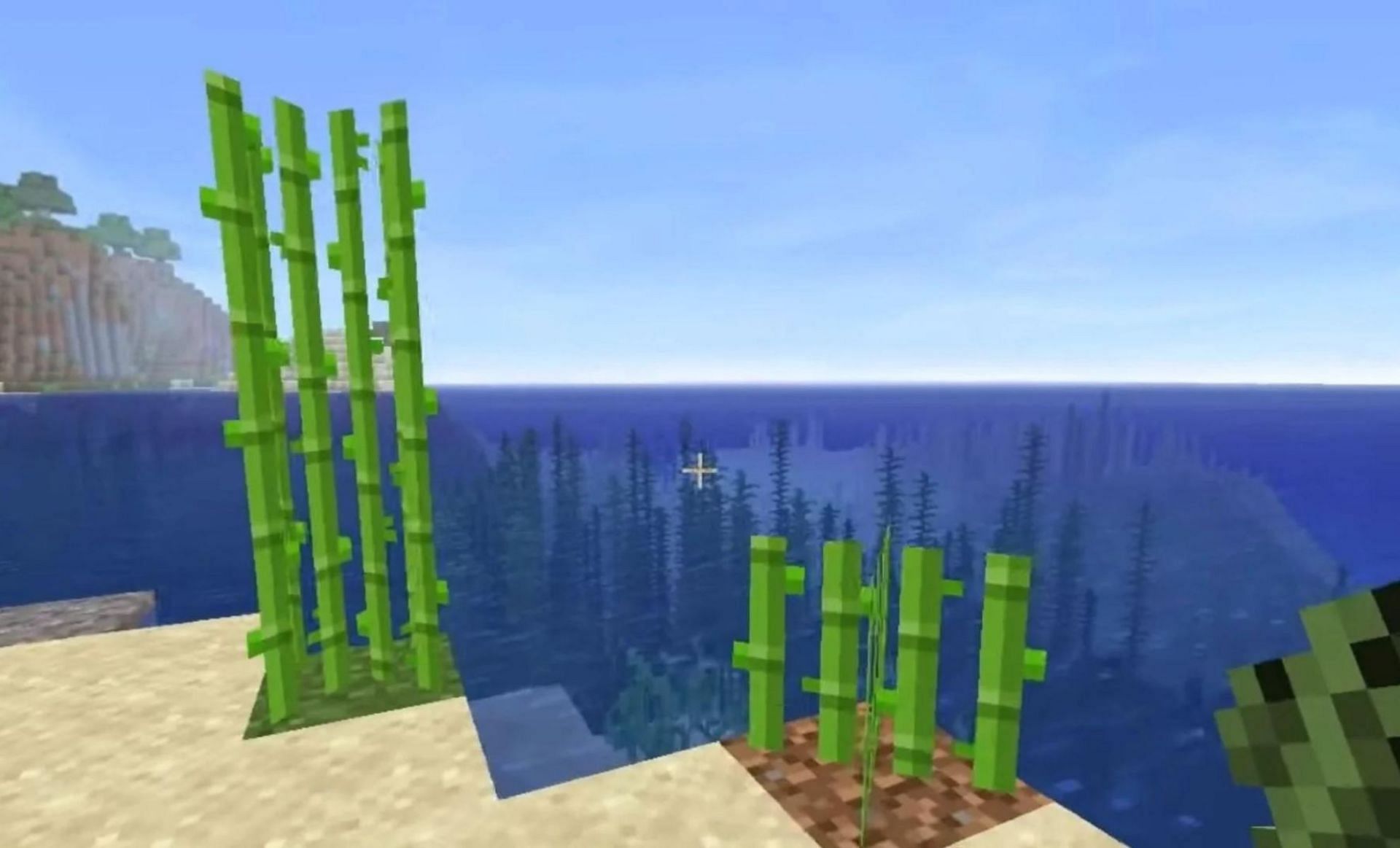 Sugar cane can be farmed in Minecraft (Image via Mojang)