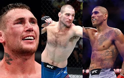 Darren Till, Sean Strickland, and Alex Pereira (left to right)