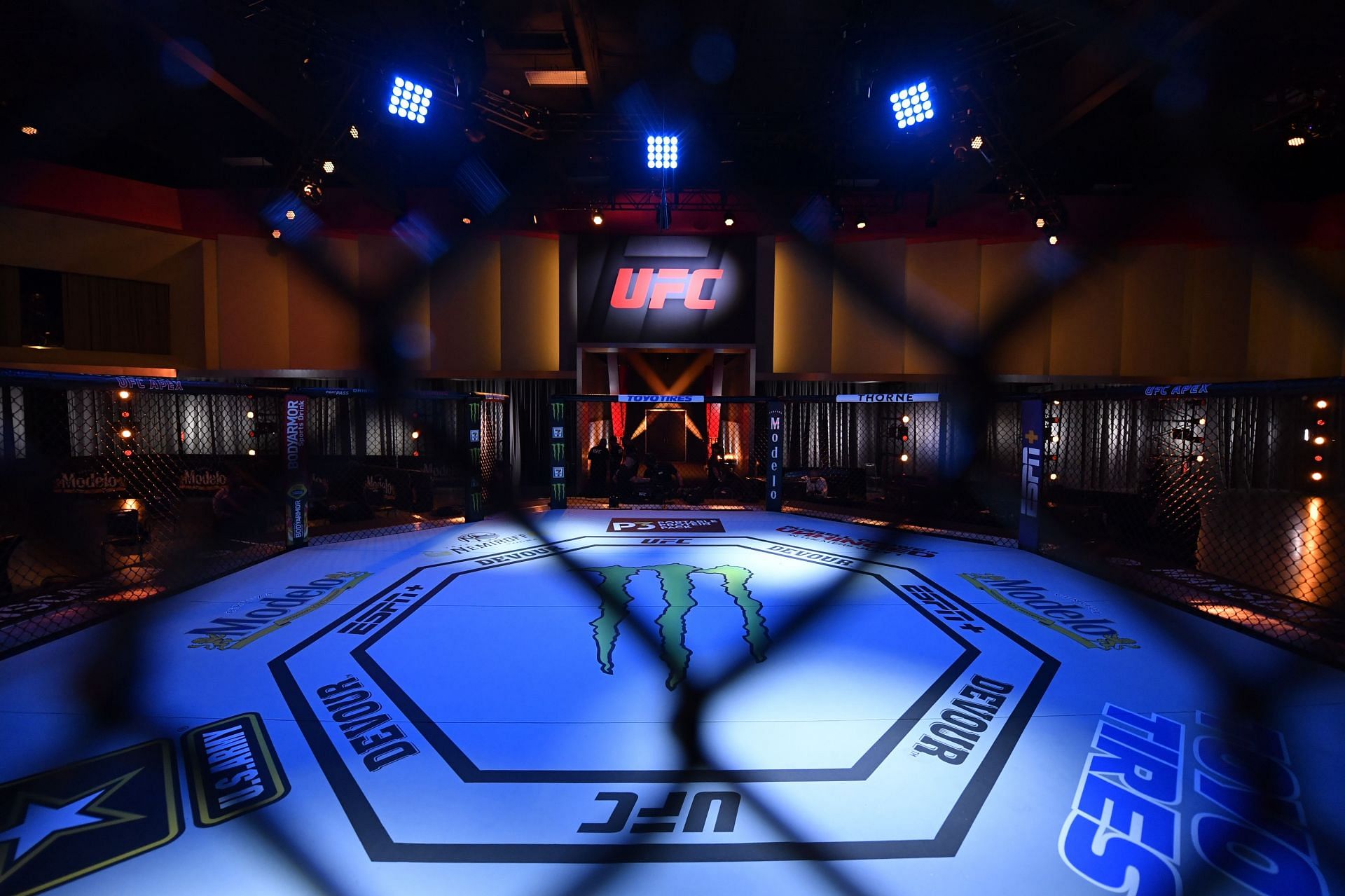The UFC&#039;s octagon during one of the pay-per-view events