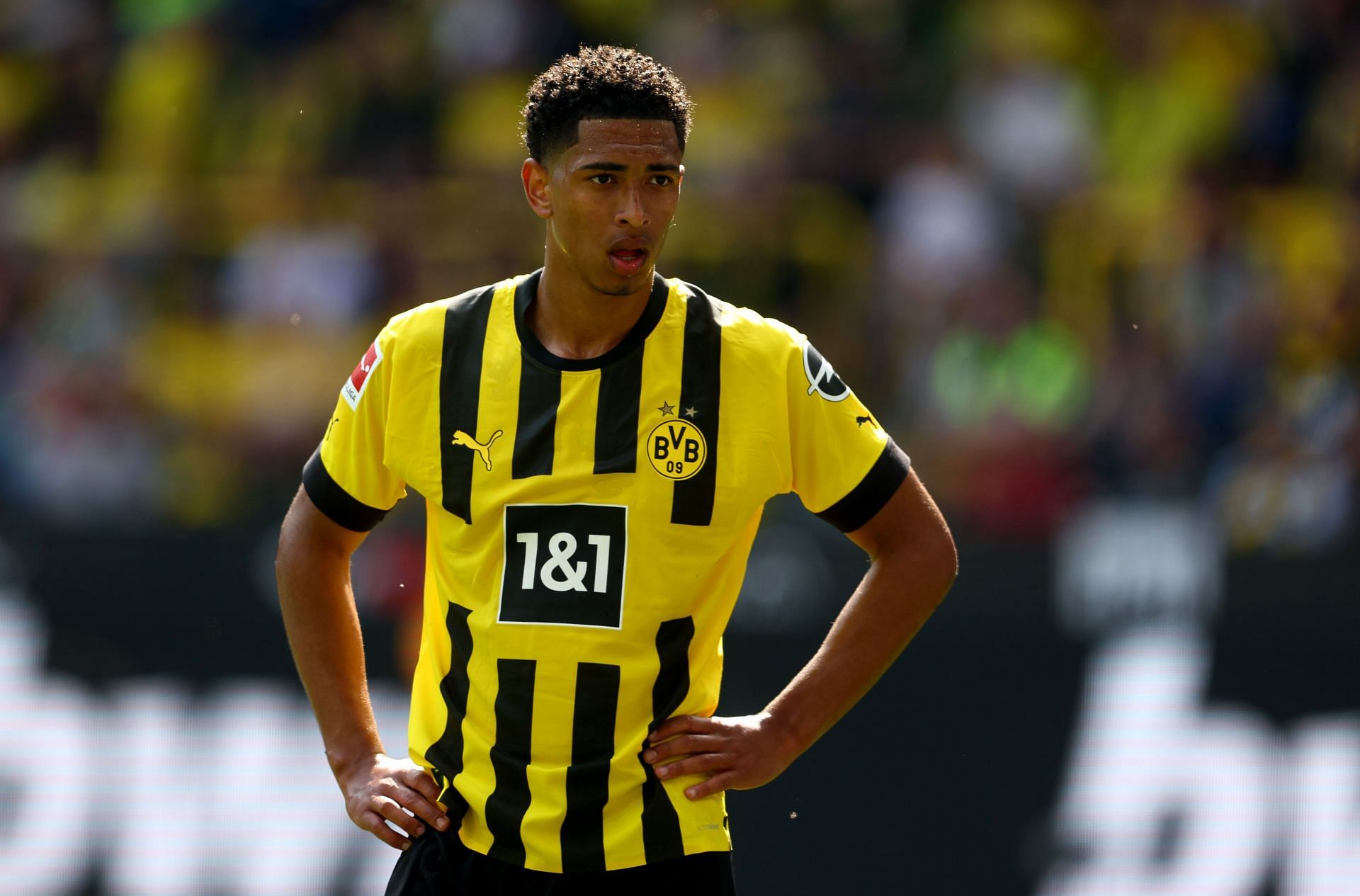 Bellingham has impressed for Dortmund