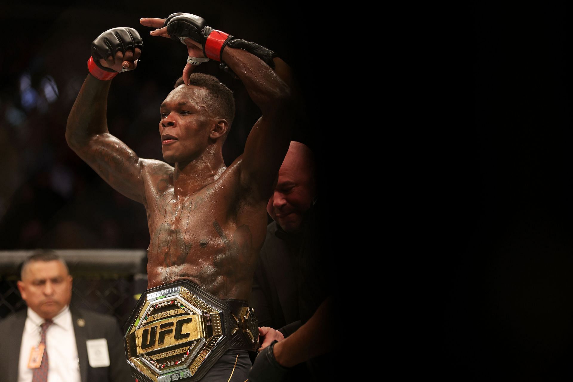 It's arguable that Israel Adesanya has already cleaned out the middleweight division