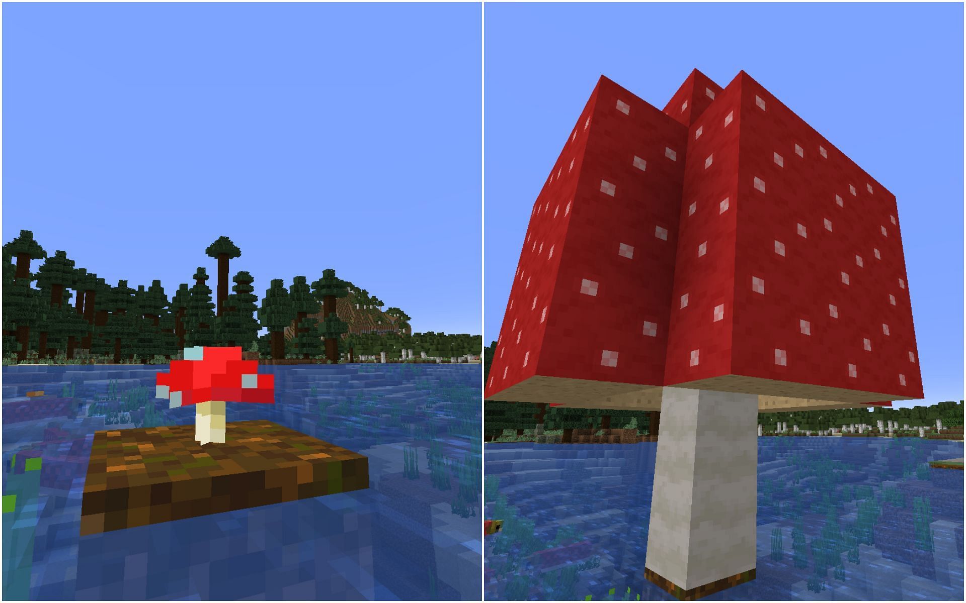 Mushrooms can be grown on the block without any light level restrictions (Image via Mojang)