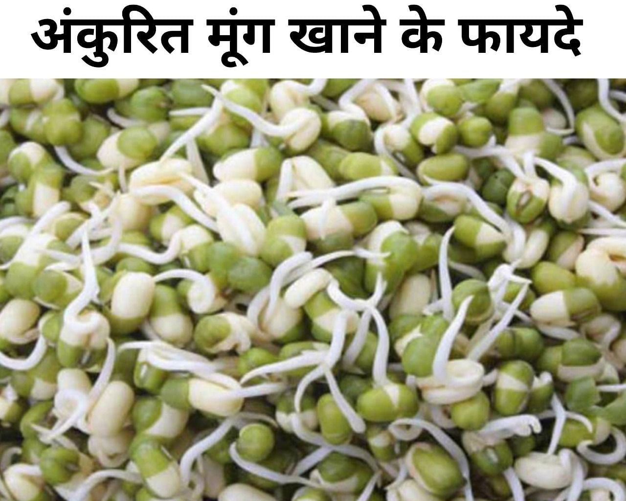 अंकुरित मूंग खाने के फायदे (फोटो - sportskeeda hindi)