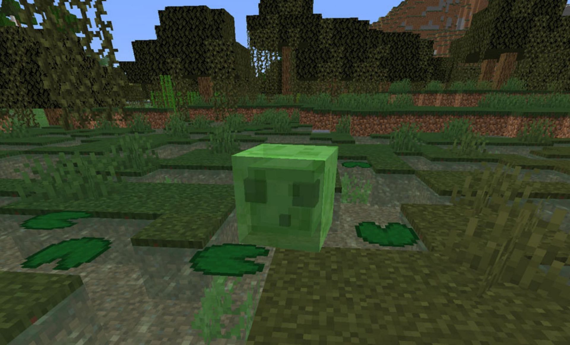 Slime in swamp biome (Image via Mojang)