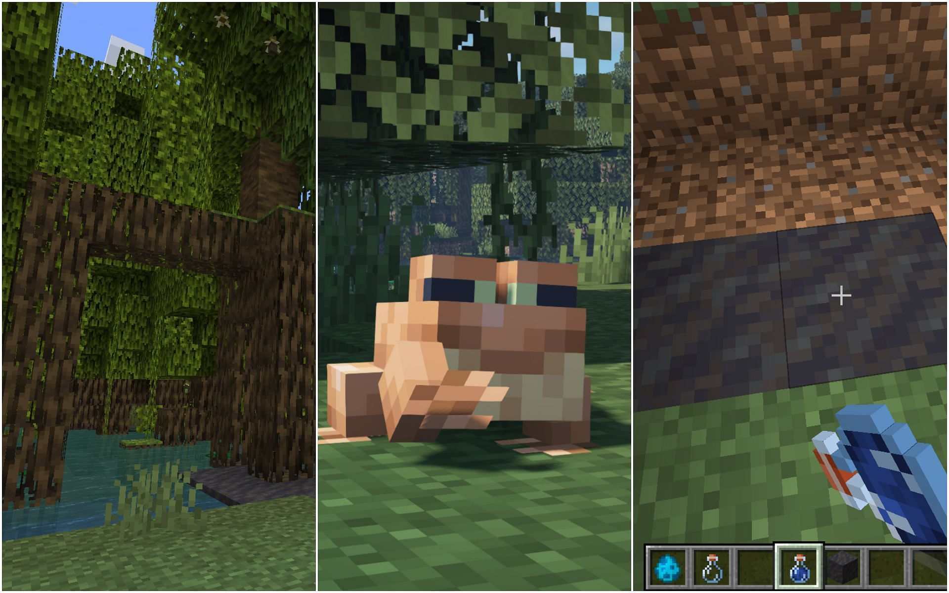There are loads of new things to explore in Mangrove Swamp (Image via Mojang)