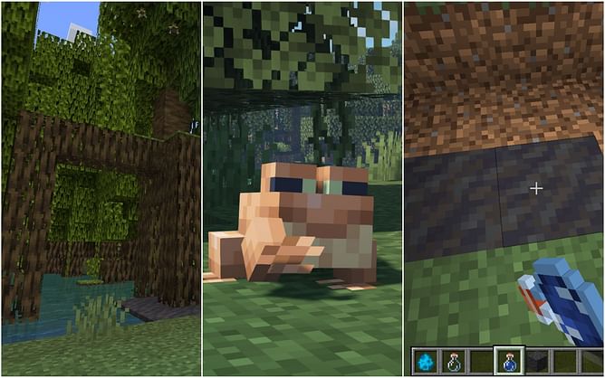 Top 5 things to do in Mangrove Swamp Biome in Minecraft 1.19