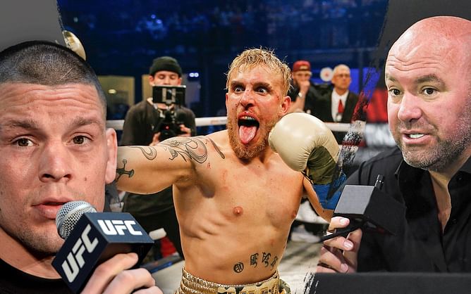 "Send the release" - Nate Diaz seemingly responds to Dana White saying he should box Jake Paul