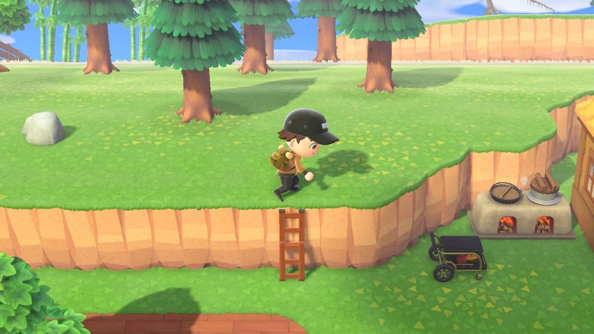 Ladders can prove to be very useful in Animal Crossing: New Horizons (Image via Nintendo Life)