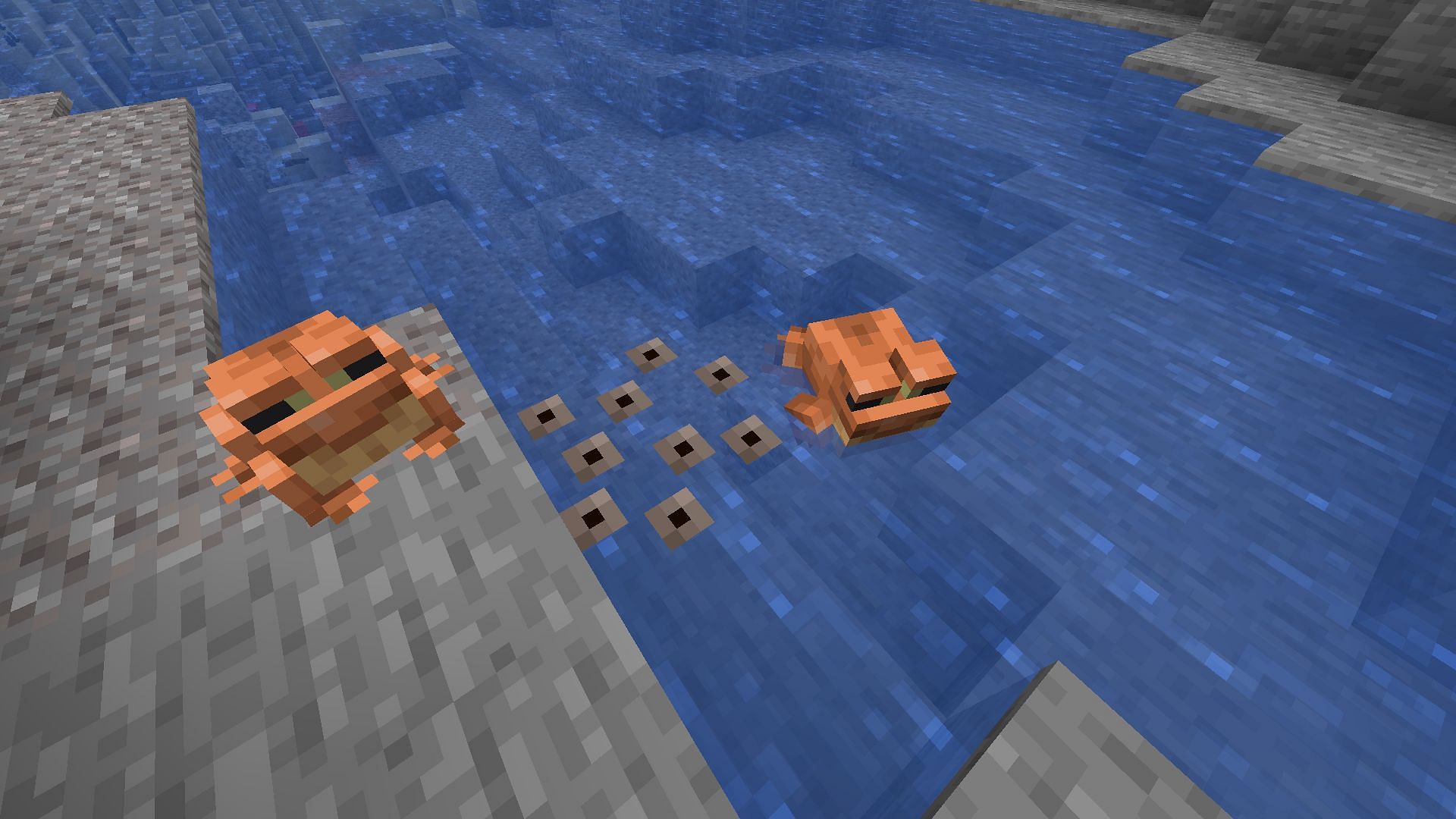 Frogs near frogspawn eggs (Image via Mojang)