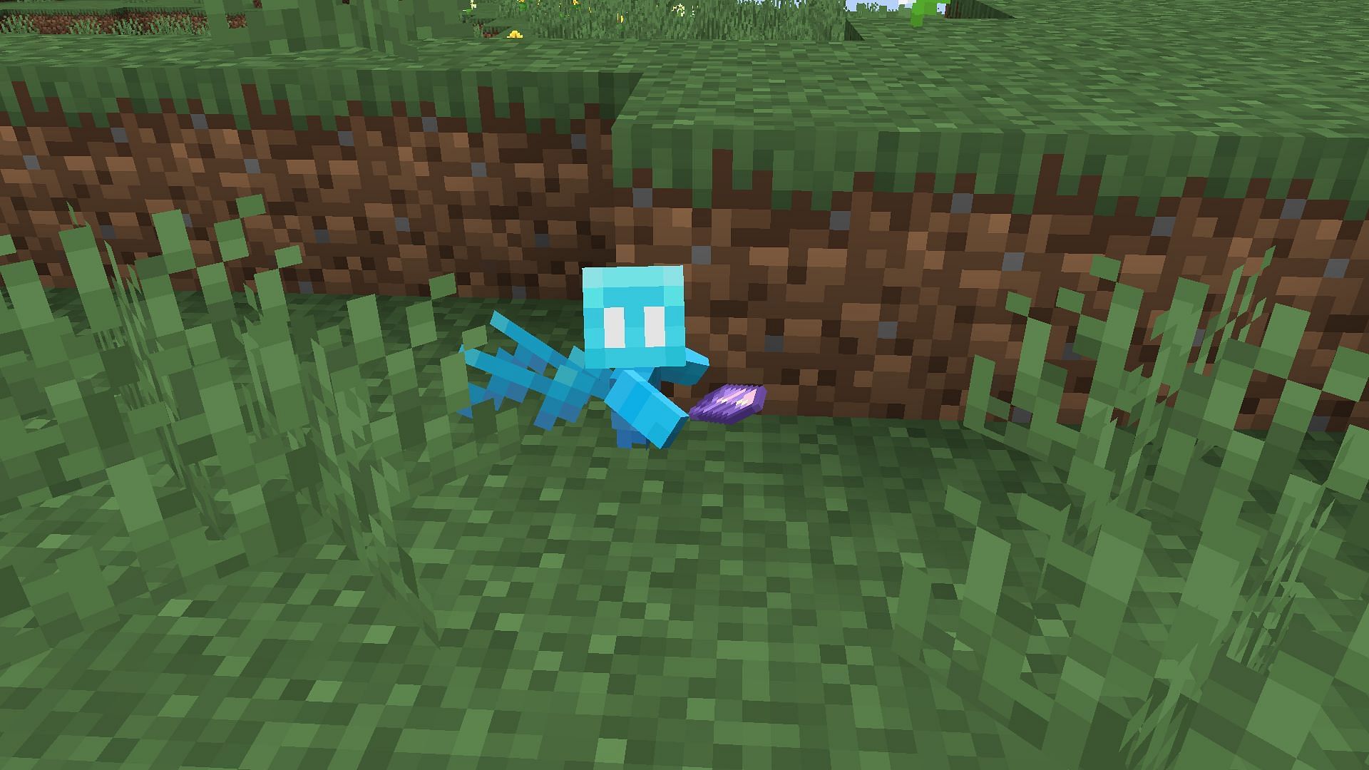 Amethyst shards can be given to Allay while they are dancing for duplication (Image via Minecraft snapshot 22w24a)