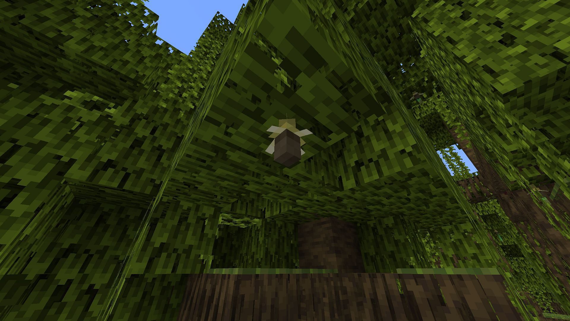 A budding propagule underneath a leaf block on the new Mangrove tree (Image via Minecraft 1.19)