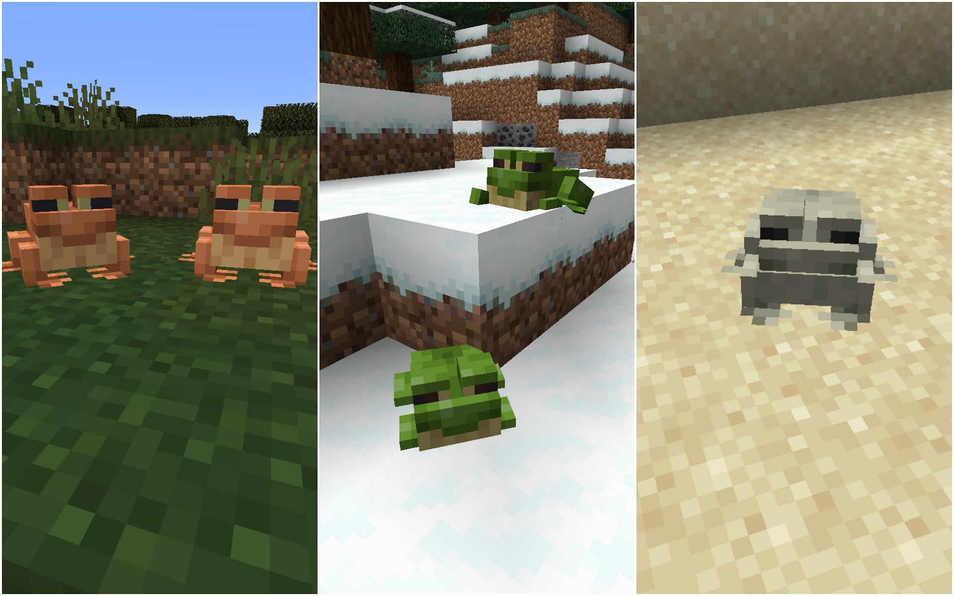 Different colored frogs will drop different colored block after eating magma cubes (Image via Mojang)