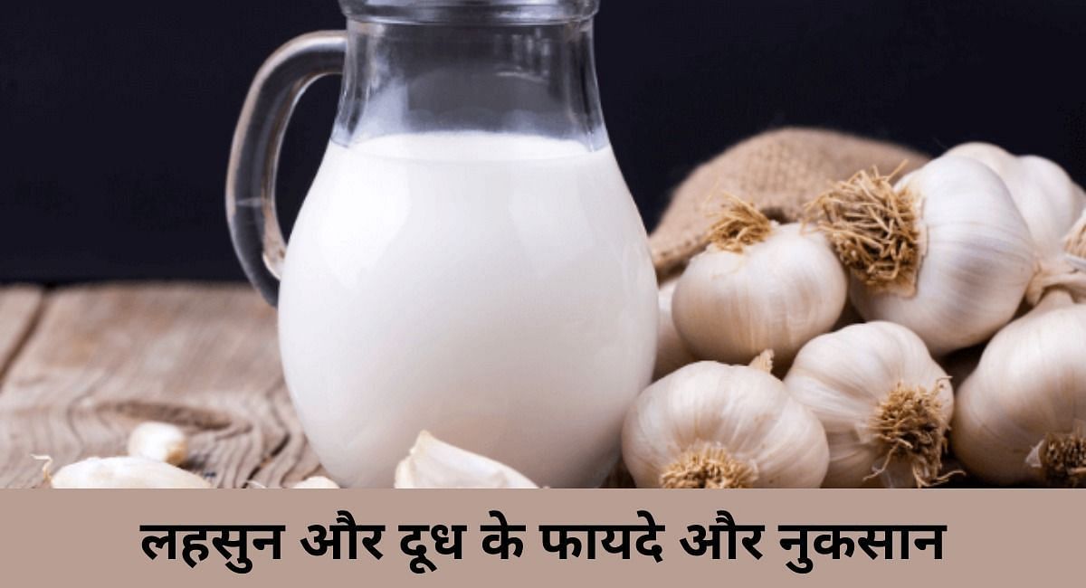 लहसुन और दूध के फायदे और नुकसान(फोटो-Sportskeeda hindi)