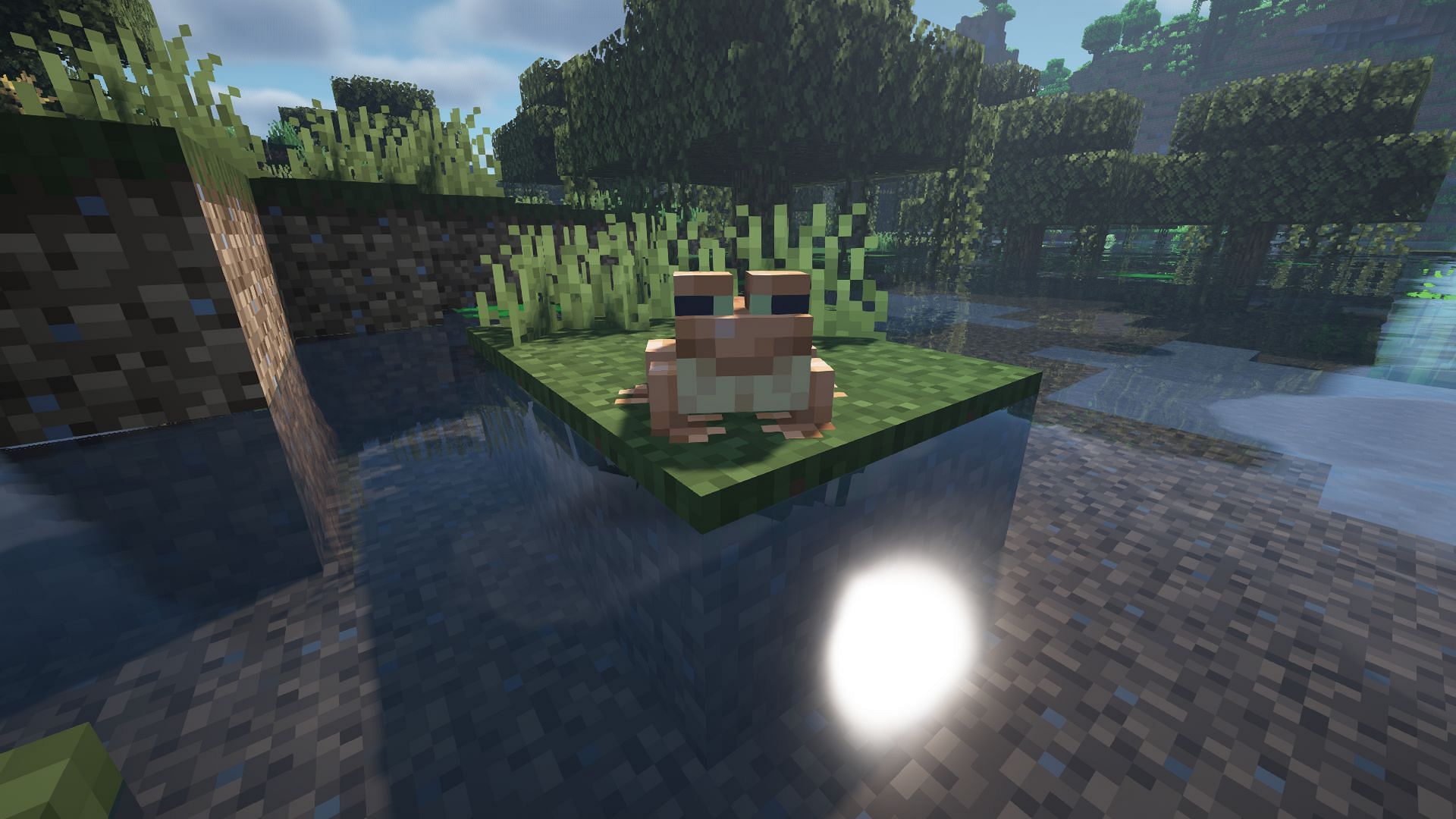 Players can only find frogs spawning naturally in the world (Image via Mojang)