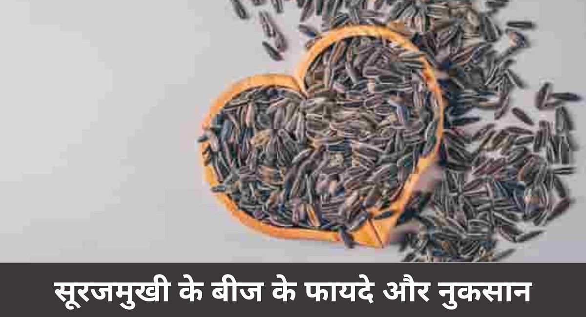 सूरजमुखी के बीज के फायदे और नुकसान(फोटो-Sportskeeda hindi)