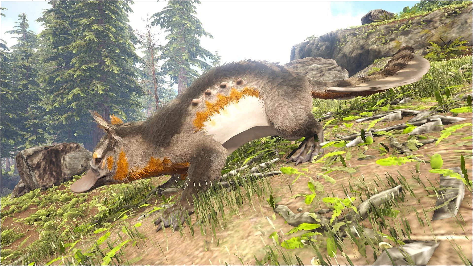 Maewings are often found in grassy areas near water in ARK: Survival Evolved (Image via Studio Wildcard)