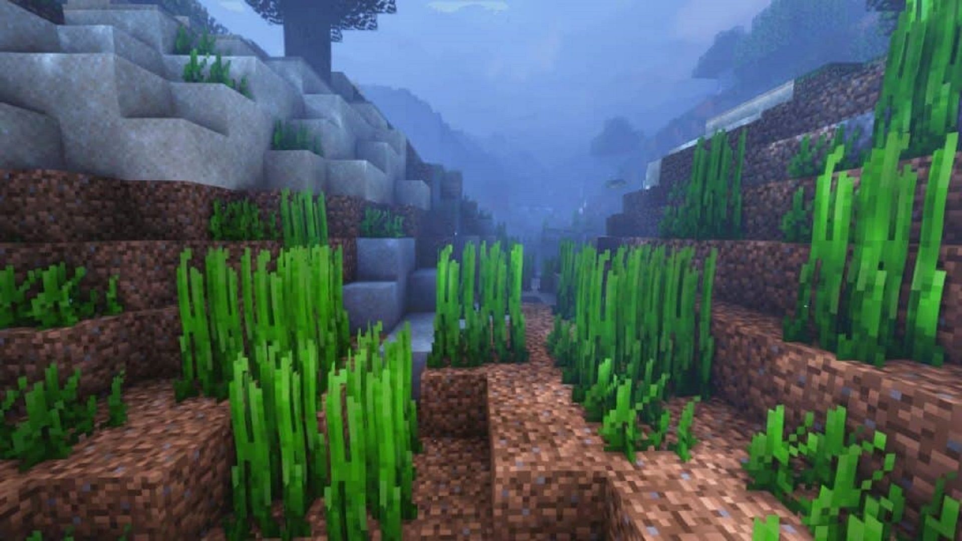 Seagrass growing in Minecraft (Image via Mojang)