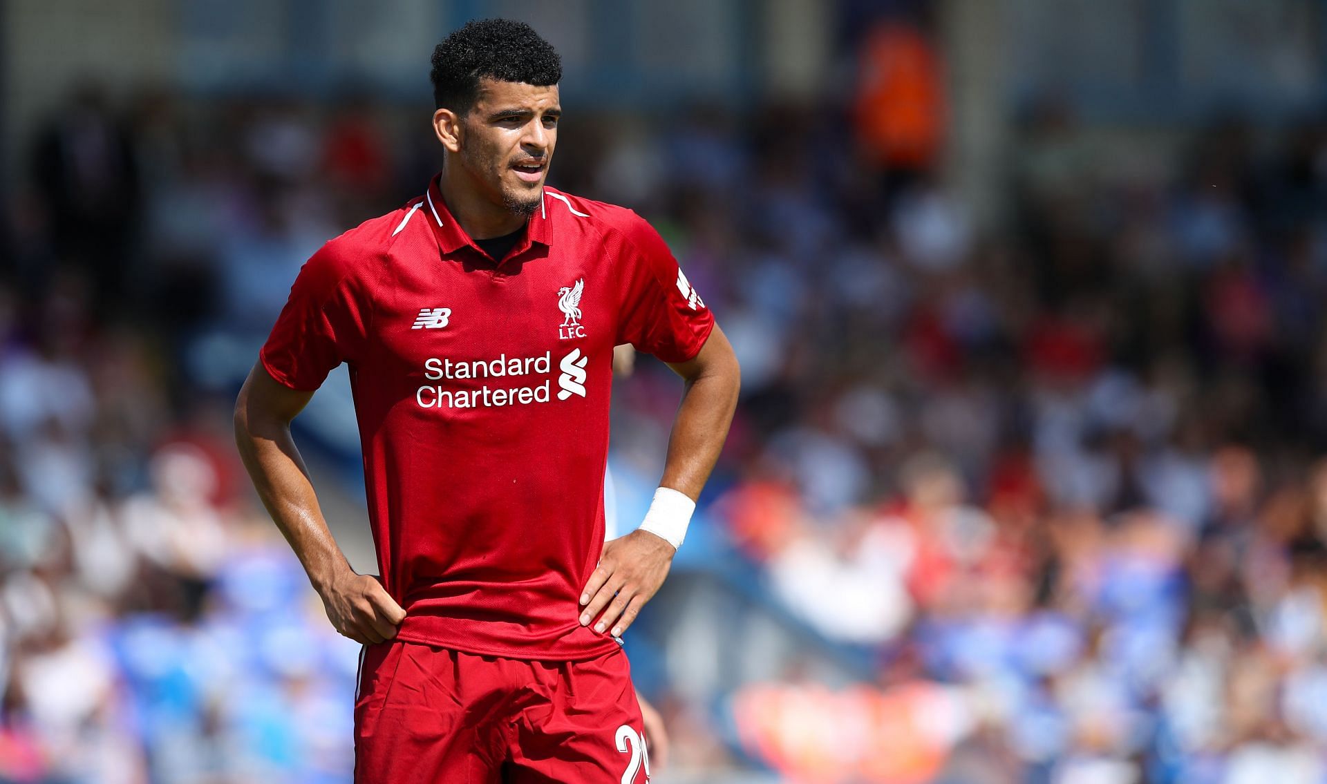 Dominic Solanke&#039;s move to Liverpool hasn&#039;t worked as planned