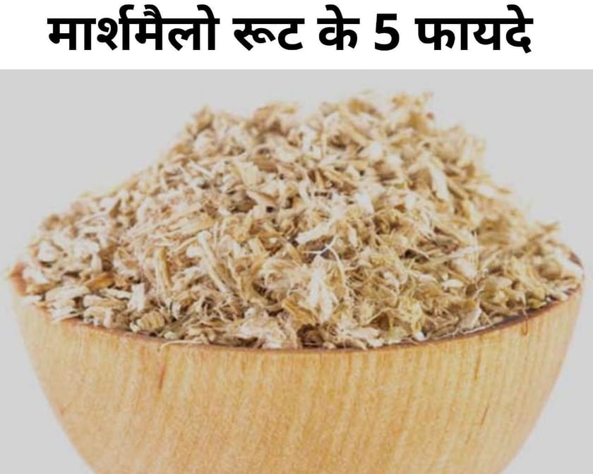 मार्शमैलो रूट के 5 फायदे 5 Benefits Of Marshmallow Root In Hindi
