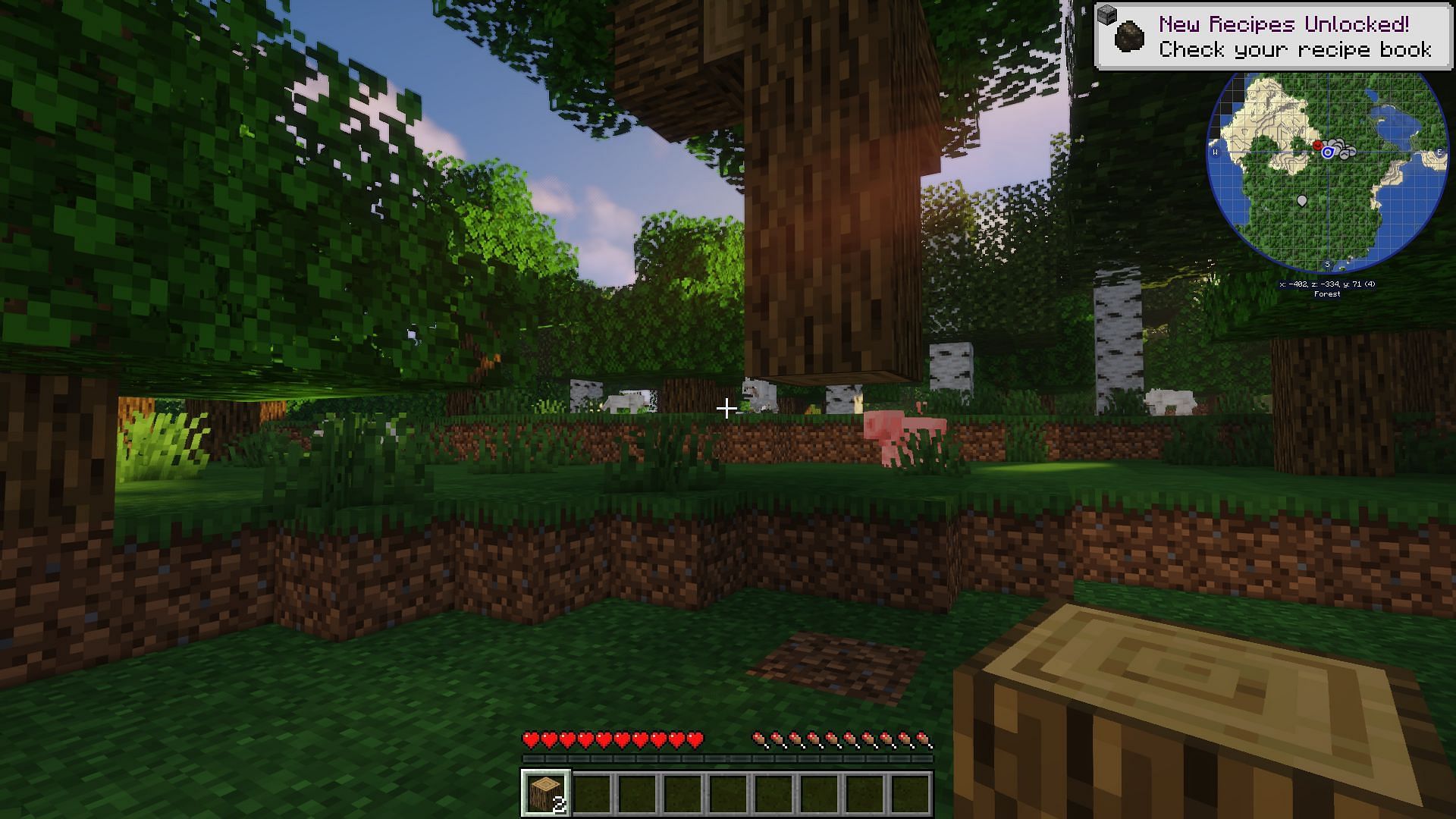 A player on a new world using the JourneyMap mod (Image via Minecraft)