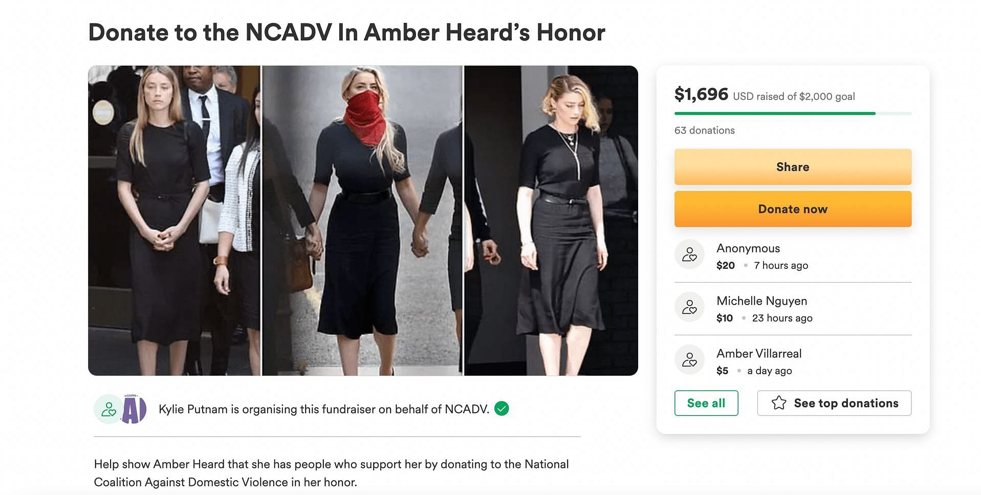 Fundraiser for Amber Heard collects almost $2000 (Image via GoFundMe)