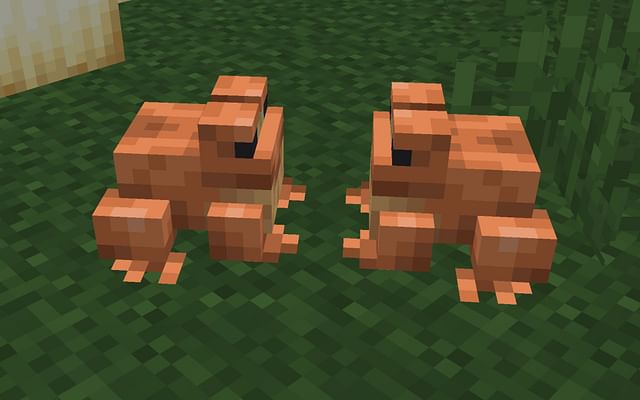 How to capture frogs in Minecraft 1.19 update