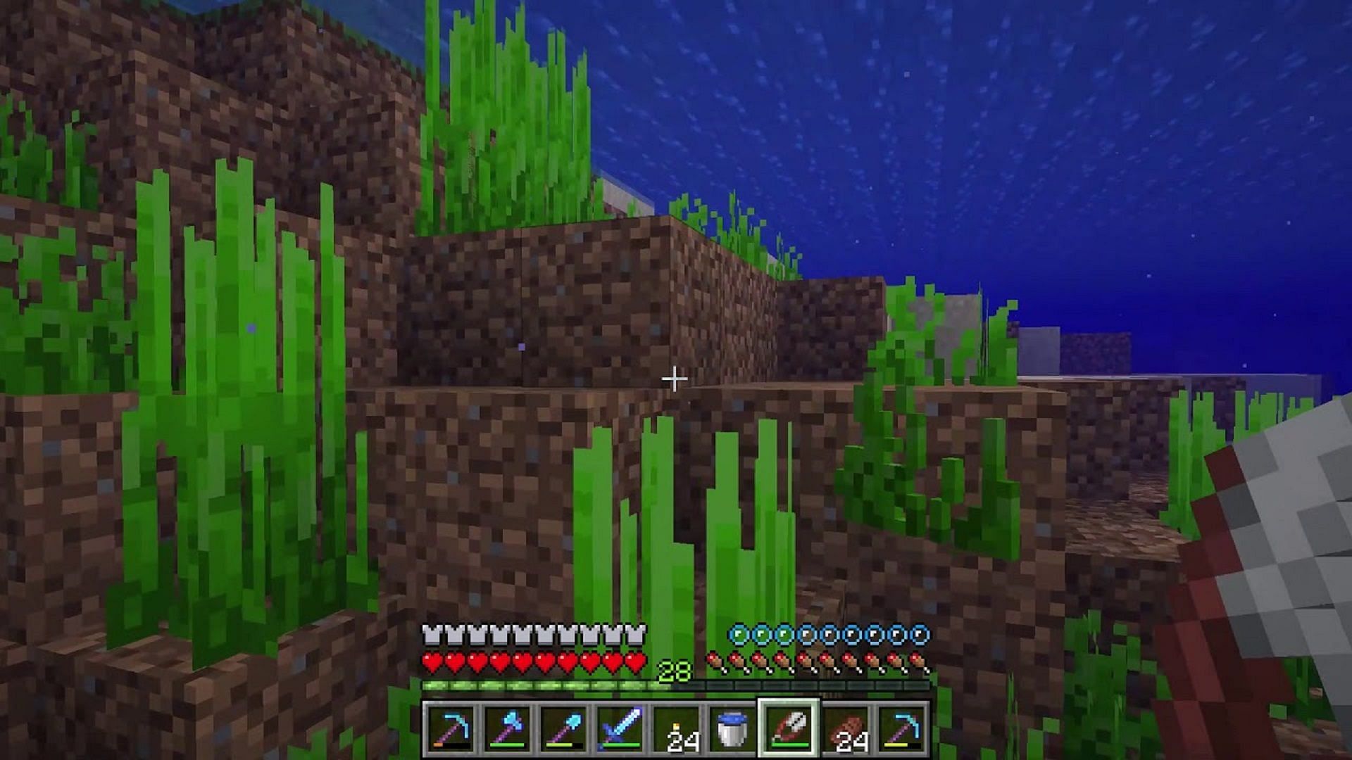 Underwater seagrass in Minecraft (Image via Waifu Simulator 27/YouTube)