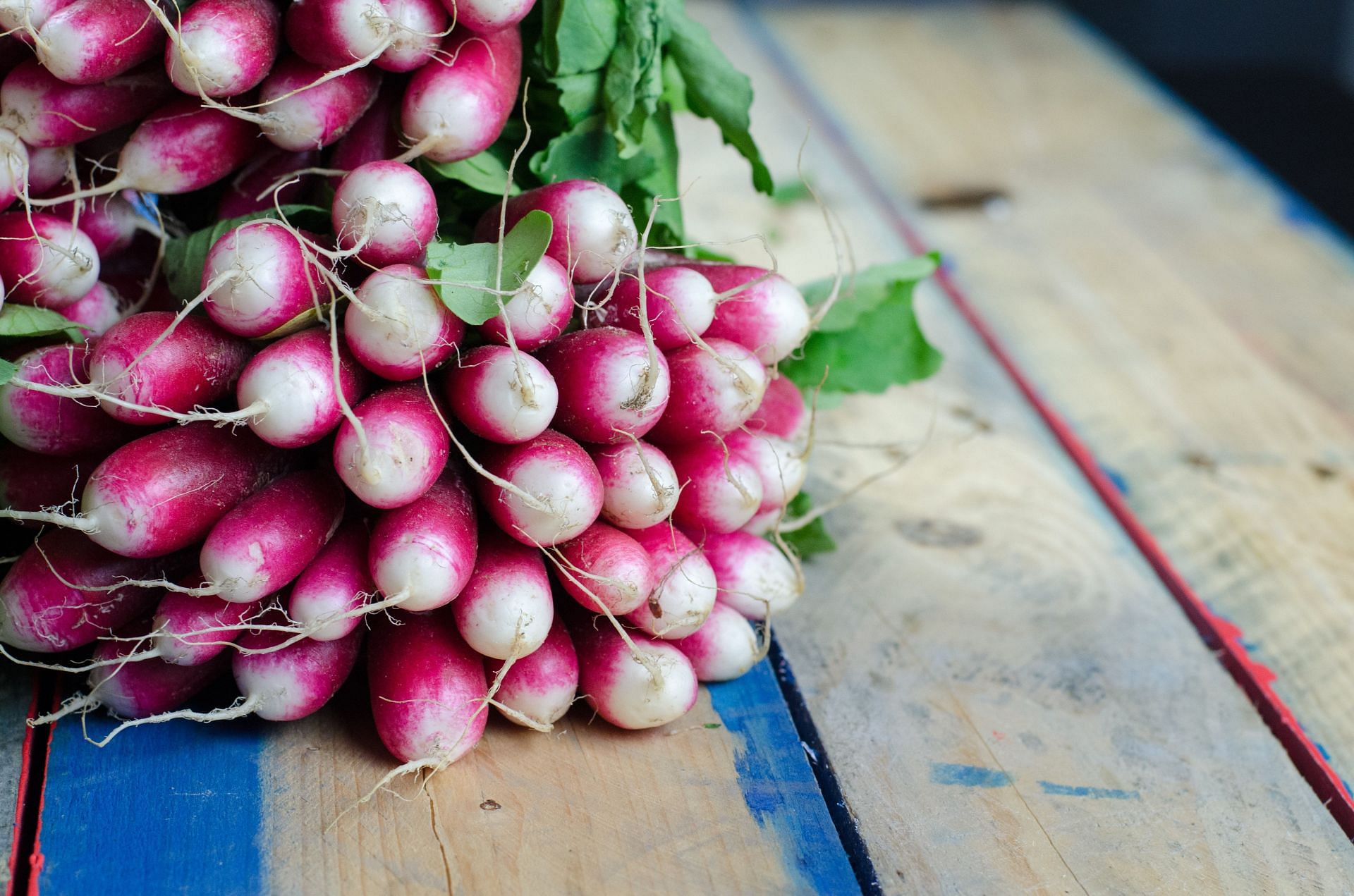 Turnips can be added to salads, mashed potatoes or coleslaw (Image via Unsplash @Damien Creatz)