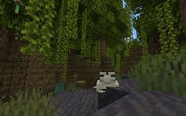 How to find Mangrove swamps biome in Minecraft 1.19 update