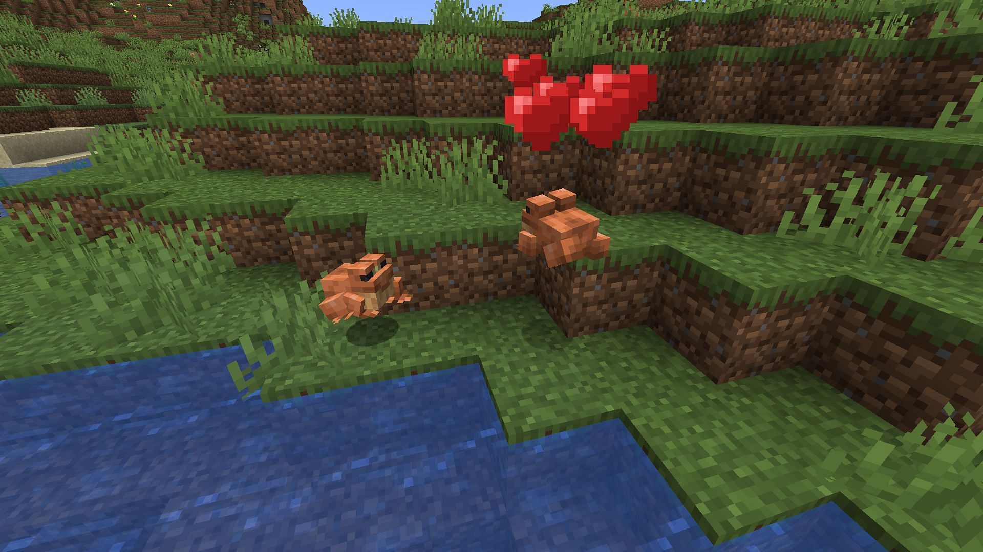 Two temperate frogs mating (Image via Minecraft)
