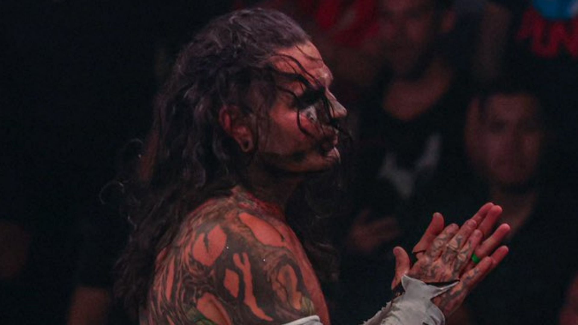 Jeff Hardy at AEW Double or Nothing 2022