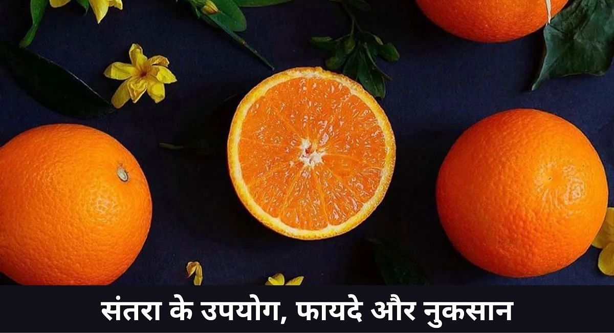 संतरा के उपयोग, फायदे और नुकसान(फोटो-Sportskeeda hindi)