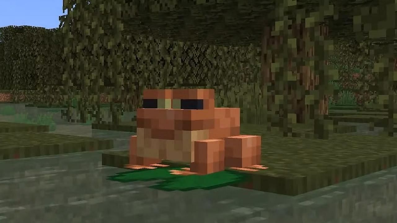 Frogs In Minecraft Where To Find How To Tame What Do They Eat Uses And Feeding