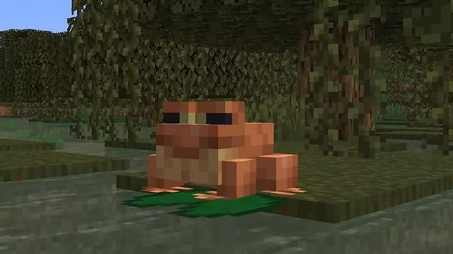 Frogs in Minecraft: Where to Find, how to tame, what do they eat