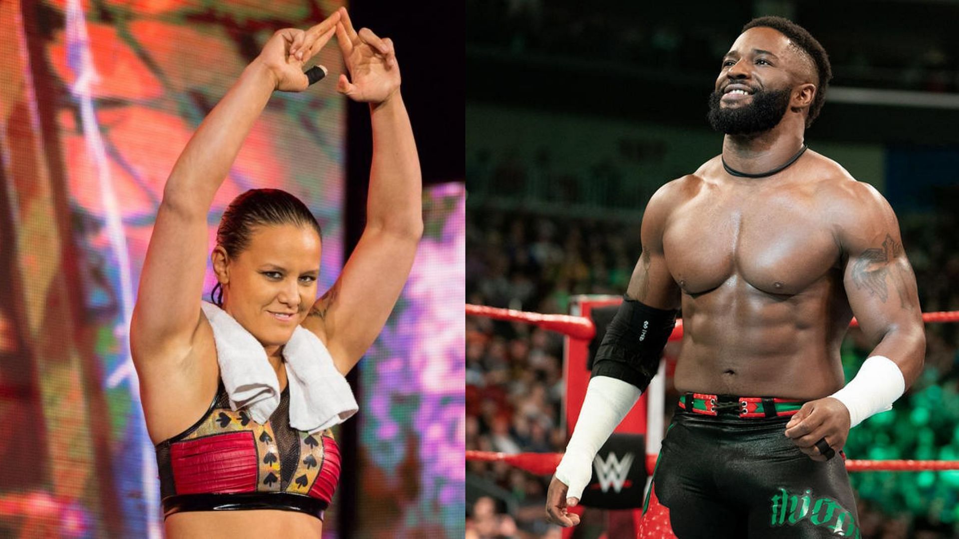 Both Shayna Baszler and Cedric Alexander would benefit from a spell in NXT