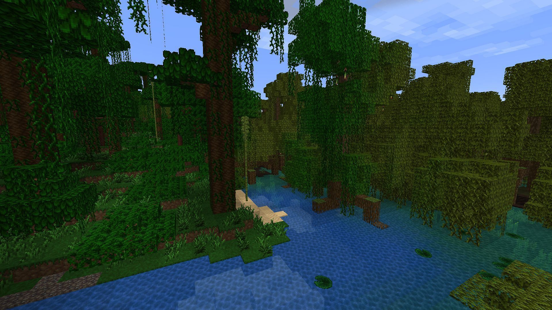 The border of a jungle and mangrove swamp biome (Image via Minecraft)